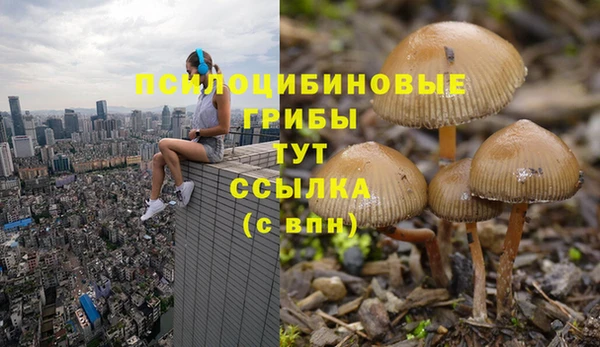 гашик Лихославль