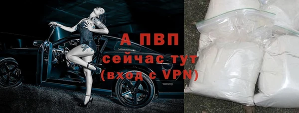 гашик Лихославль