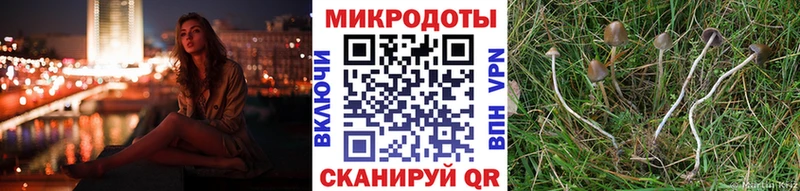 Купить где  Болохово  Галлюциногенные грибы Magic Shrooms 